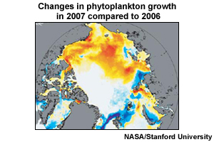 Changes in phytoplankton growth in 2007 compared to 2006
