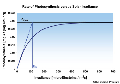Rate of Photosynthesis versus Solar Irradiance