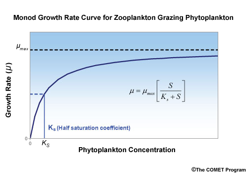 Monod Growth Rate Curve for Zooplankton Grazing Phytoplankton