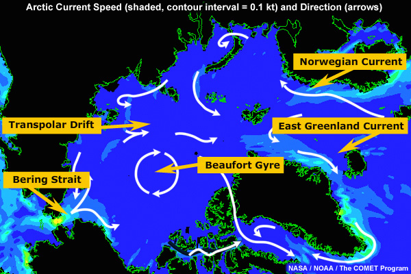 Map showing current speed and direction in the Arctic