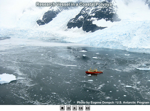4 photos showing a ship, submarine, seabirds, and whale in open water in the Arctic