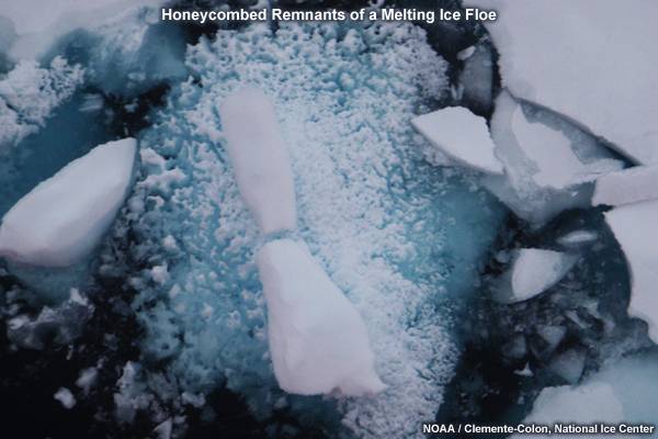 Photo of Honeycombed remnants of a melting ice floe