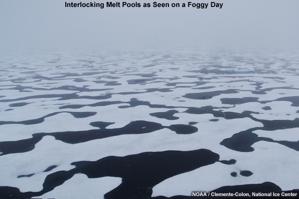 Photo of interlocking melt pools as seen on a foggy day. 