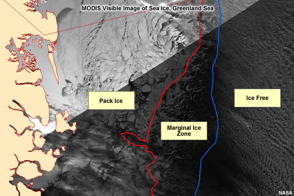 MODIS visible image of sea ice, Greenland Sea