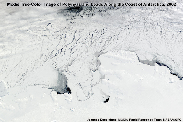 Modis True-Color Image of Polynyas and Leads Along the Coast of Antarctica, 2002