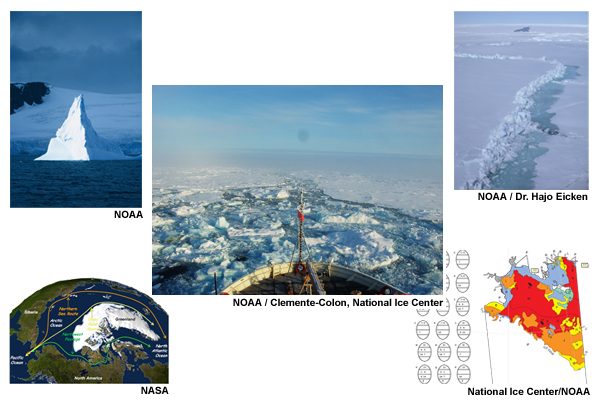 montage of sea ice images
