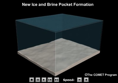 Animation showing sea ice formation, formation of brine pockets, and brine exclusion.