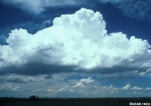 Cauliflower-shaped cumulus clouds are growing vertically over a field.