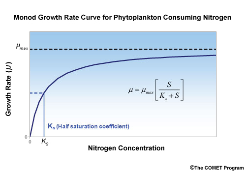 Monod Growth Rate Curve for Phytoplankton Consuming Nitrogen