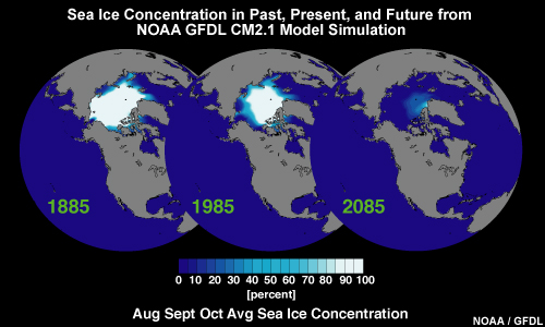 Sea Ice Concentration in 1885, 1985, and 2085 from NOAA GFDL CM2.1 Model Simulation