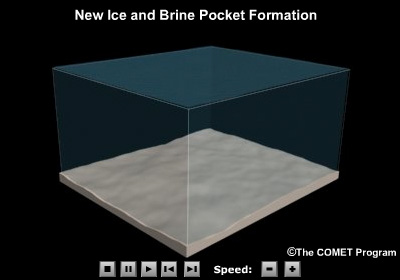 Sea ice formation, formation of brine pockets, and brine exclusion