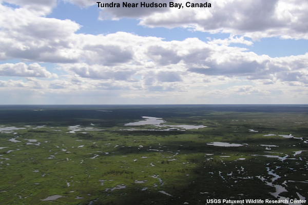 Aerial photo of tundra