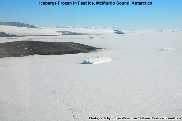 Photo of icebergs frozen in fast ice