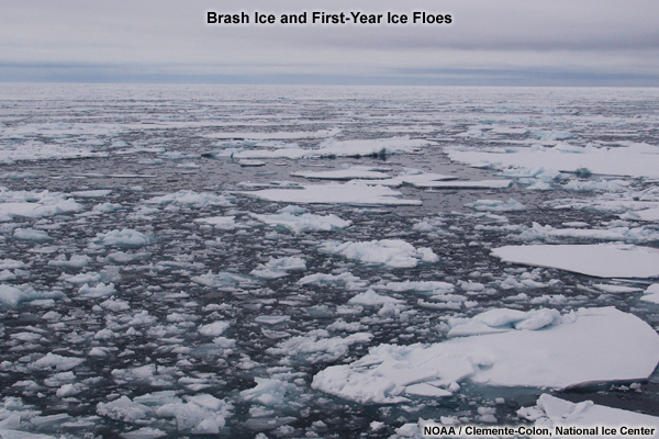 Photo of Brash ice and first-year ice floes