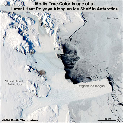 Modis True-Color Image of a Latent Heat Polynya Along an Ice Shelf in Antarctica
