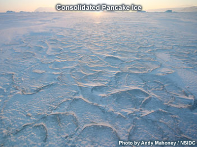 Photo of Consolidated Pancake Ice