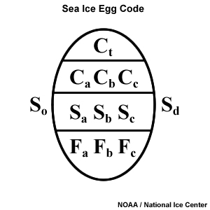 Sea Ice Egg Code