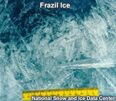 Photo of Frazil ice