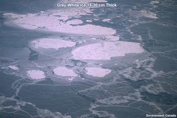 Photo of Grey-White Ice
