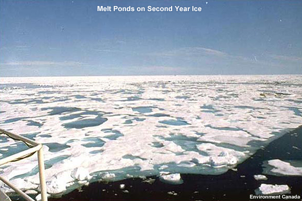 Photo of Melt Ponds on Second Year Ice