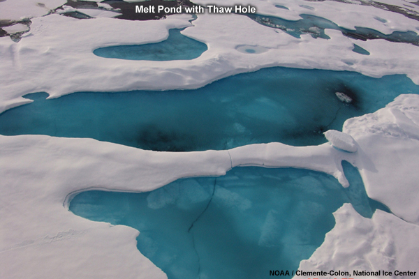 Photo of Melt Pond with Thaw Hole